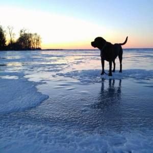 Meet your Posher, Carley